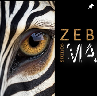 Proyecto de branding de Zebra Producciones